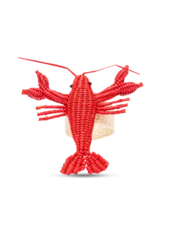 /original/NRIR67327650_COCO_Multicolor_7.png_convert-240x320