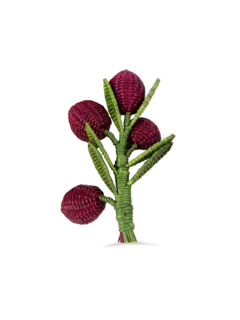 /original/NRIR81787980_COCO_Multicolor_2.png_convert-240x320