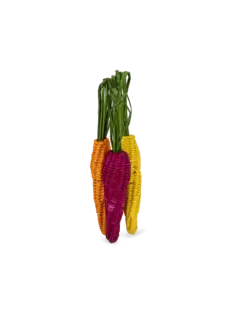 /original/NRIR81787980_COCO_Multicolor_4.png_convert-240x320