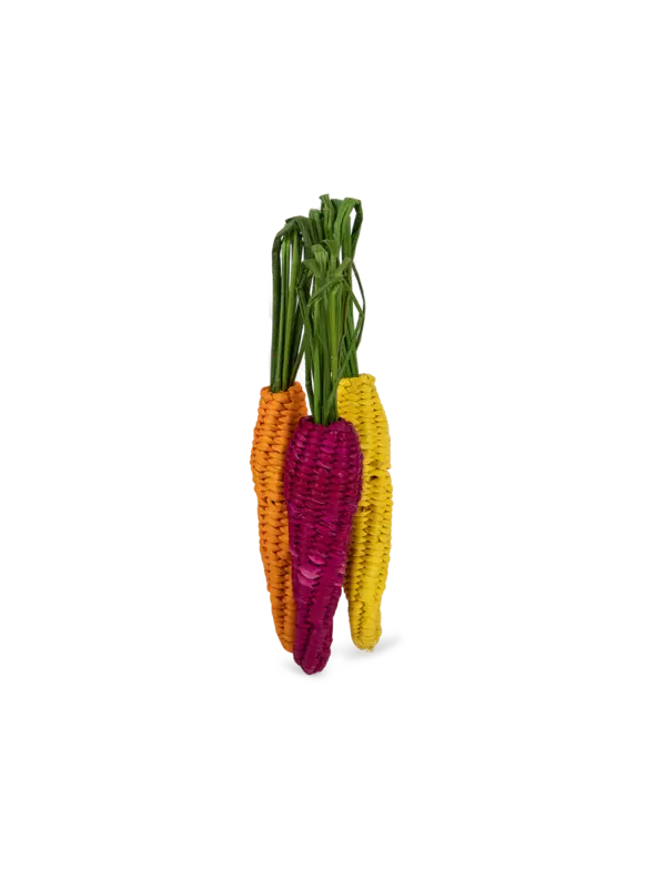 /original/NRIR81787980_COCO_Multicolor_4.png_convert-600x800