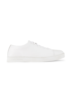 /original/OB009M_OZBO_WHITE-100_1.png_convert-240x320