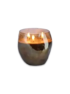 /original/ON512SA_ONNO_Cape Champ_1.png_convert-240x320