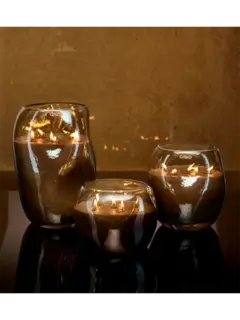 /original/ON514SA_ONNO_Cape Champ_2.png_convert-240x320