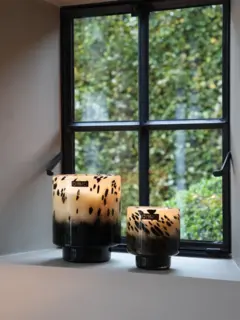 /original/ON820Z_ONNO_PeachCora_2.png_convert-240x320