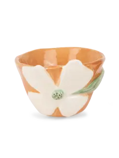 /original/ORASCLOVE_CONS_Orange_1.png_convert-240x320