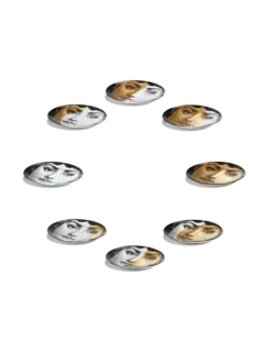 /original/P10Z400_FORN_Multi_3.png_convert-240x320