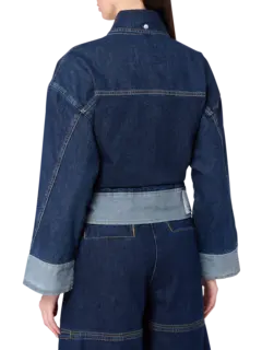 /original/P251-60877LID_31PL_DIndgDA402_3.png_convert-240x320