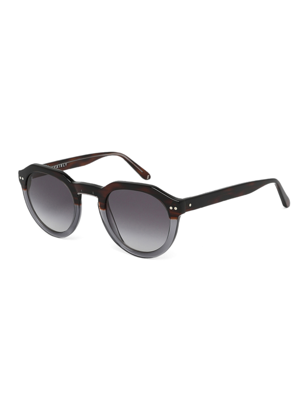 Black Tinted Sunglasses