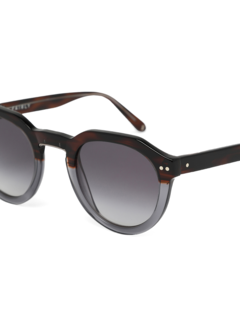 Black Tinted Sunglasses