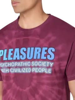 /original/P25F074_PLSR_Purple Dye_4.png_convert-240x320