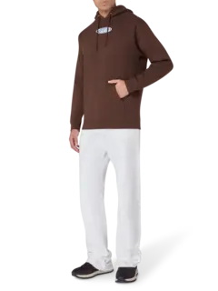 /original/P25F083_PLSR_Brown_2.png_convert-240x320