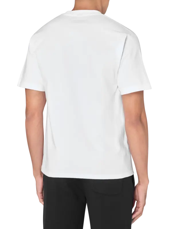 /original/P25F087_PLSR_White_3.png_convert-600x800