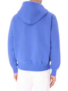 /original/P25SP016_PLSR_Blue_3.png_convert-240x320