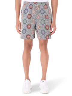 /original/P25SP030_PLSR_Slate_1.png_convert-240x320