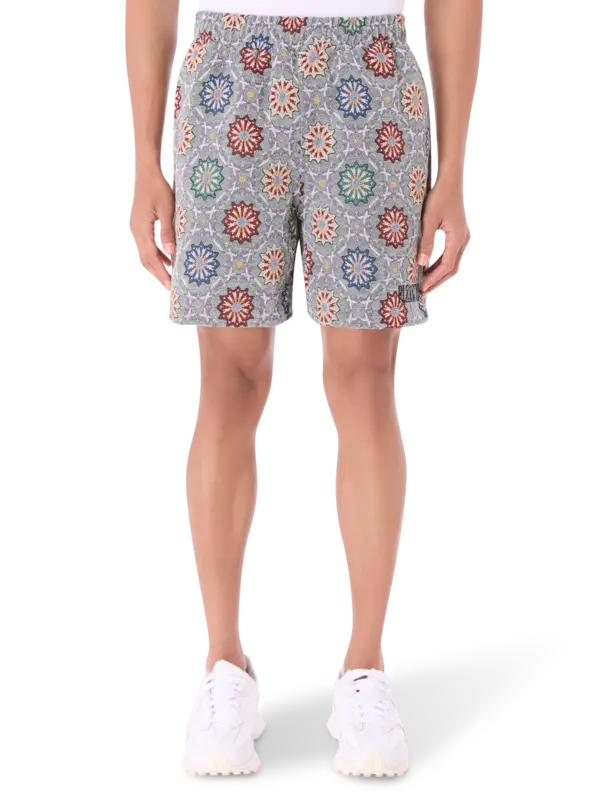 /original/P25SP030_PLSR_Slate_1.png_convert-600x800