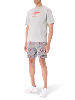 /original/P25SP030_PLSR_Slate_2.png_convert-240x320