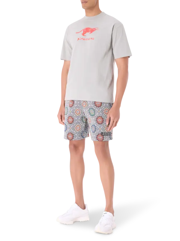 /original/P25SP030_PLSR_Slate_2.png_convert-600x800