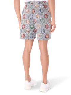 /original/P25SP030_PLSR_Slate_3.png_convert-240x320