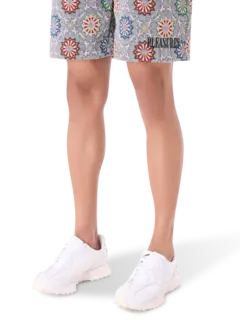 /original/P25SP030_PLSR_Slate_5.png_convert-240x320