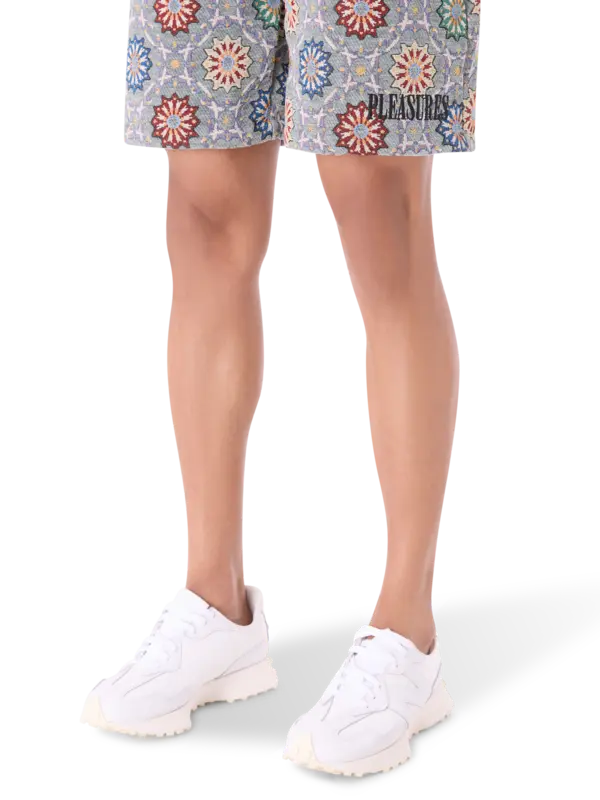 /original/P25SP030_PLSR_Slate_5.png_convert-600x800