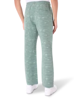 /original/P25SP040_PLSR_Green_3.png_convert-240x320