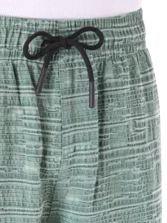 /original/P25SP040_PLSR_Green_4.png_convert-240x320