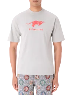 /original/P25SP063_PLSR_Sage_1.png_convert-240x320