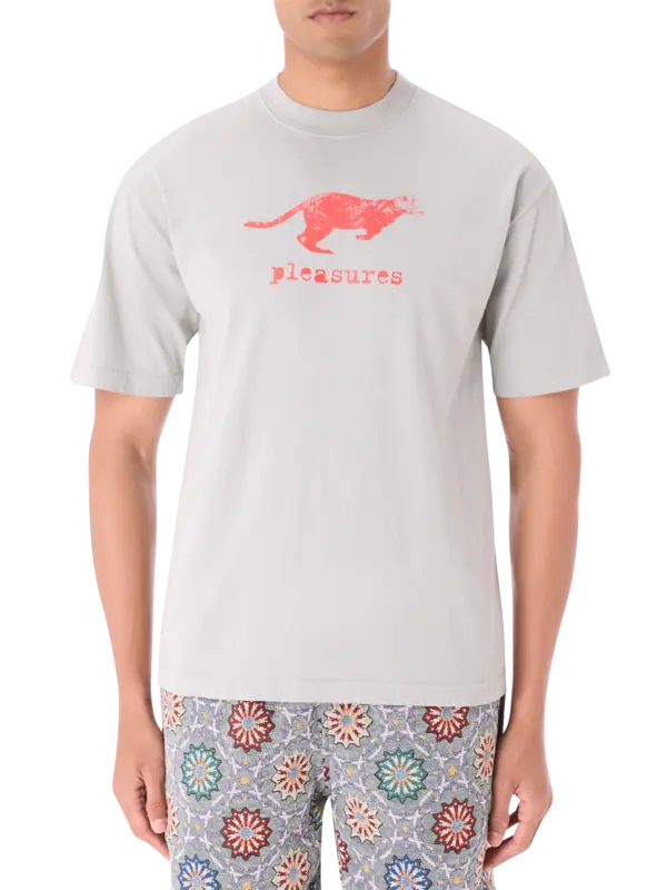 /original/P25SP063_PLSR_Sage_1.png_convert-600x800