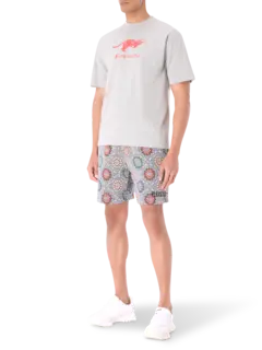 /original/P25SP063_PLSR_Sage_2.png_convert-240x320