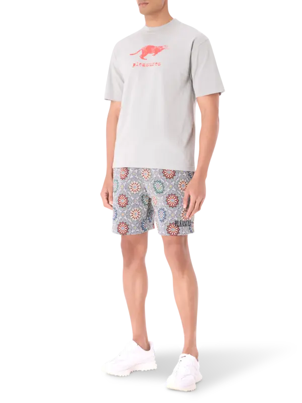 /original/P25SP063_PLSR_Sage_2.png_convert-600x800