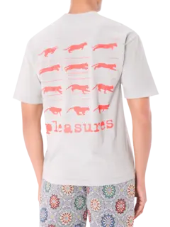 /original/P25SP063_PLSR_Sage_3.png_convert-240x320