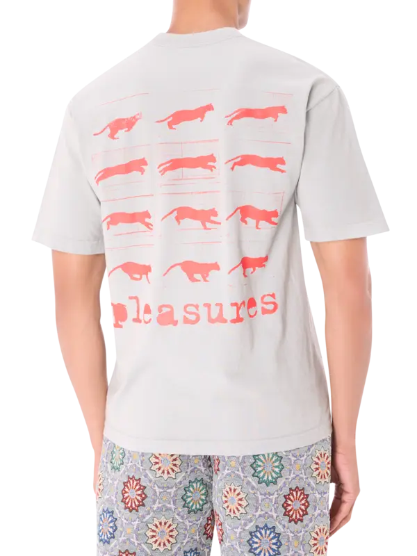 /original/P25SP063_PLSR_Sage_3.png_convert-600x800