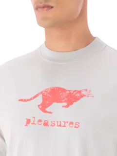 /original/P25SP063_PLSR_Sage_4.png_convert-240x320