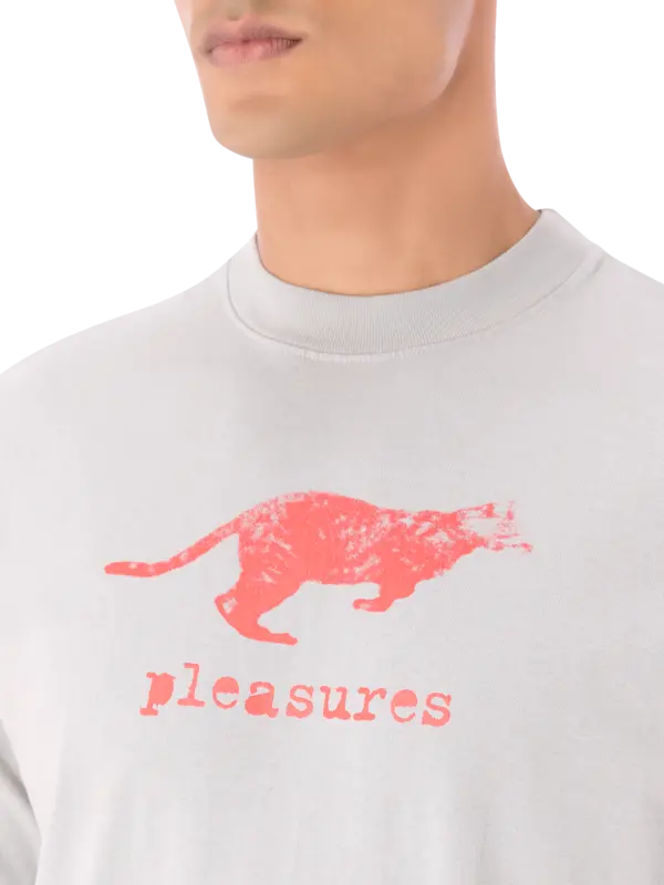 /original/P25SP063_PLSR_Sage_4.png_convert-600x800