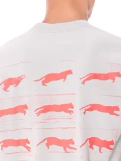 /original/P25SP063_PLSR_Sage_5.png_convert-240x320