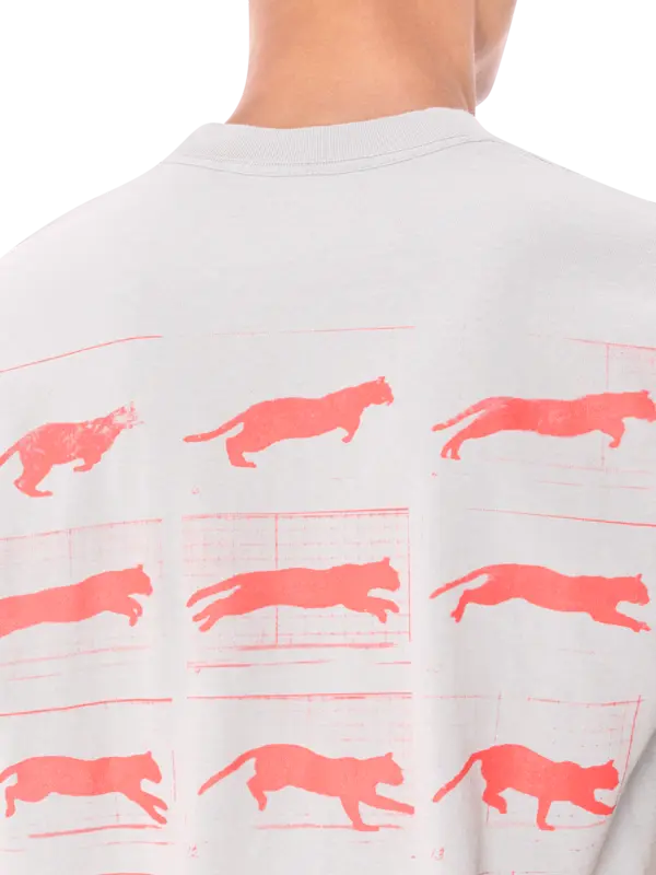 /original/P25SP063_PLSR_Sage_5.png_convert-600x800