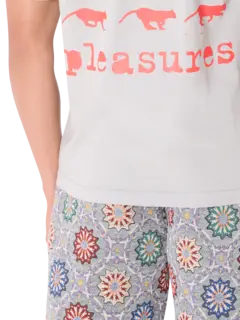 /original/P25SP063_PLSR_Sage_6.png_convert-240x320