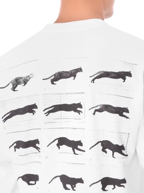 /original/P25SP064_PLSR_White_6.png_convert-600x800