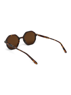 Brown Tinted Sunglasses