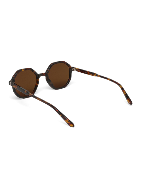 Brown Tinted Sunglasses