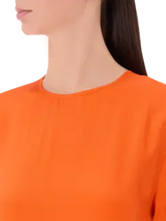 /original/P5ST04_ERCA_C78-0ARAGO_4.png_convert-240x320