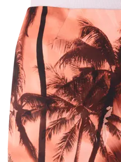 /original/P5ST21_ERCA_STPPESTPAL_4.png_convert-240x320