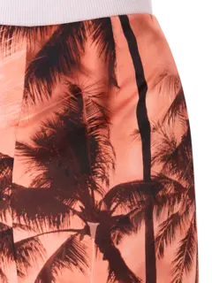 /original/P5ST21_ERCA_STPPESTPAL_5.png_convert-240x320