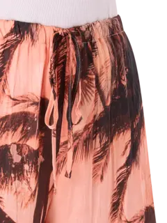 /original/P5ST31_ERCA_STPPESTPAL_4.png_convert-240x320