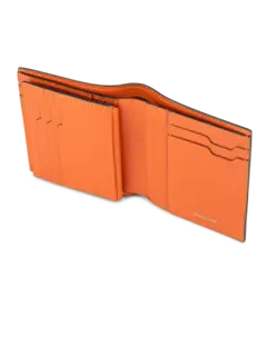 /original/PAS567039_PINE_ORANGE_3.PNG_convert-240x320