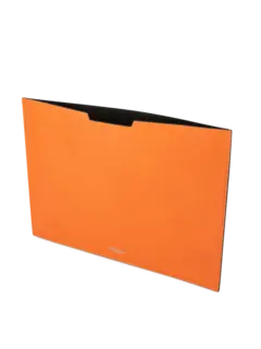 /original/PAS579039_PINE_ORANGE_2.PNG_convert-240x320