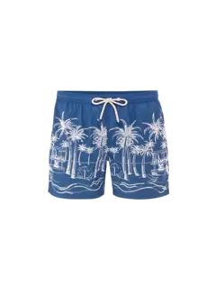 /original/PATM004_MC2S_02850Hpalm_1.png_convert-240x320