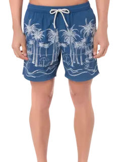 /original/PATM004_MC2S_02850Hpalm_2.png_convert-240x320