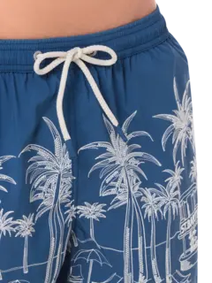 /original/PATM004_MC2S_02850Hpalm_4.png_convert-240x320