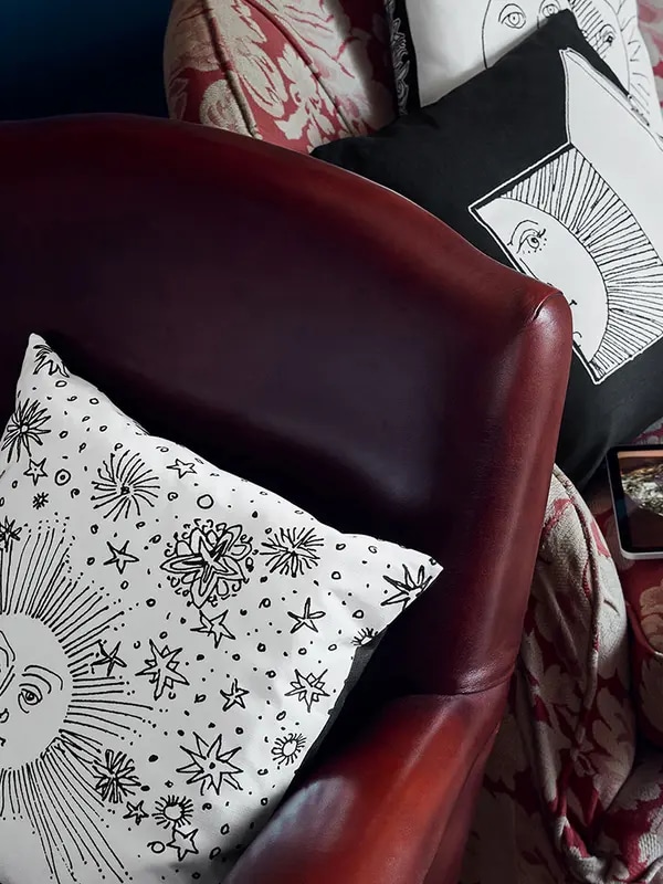 /original/PILLSL901_FORN_BlackWhite_2.png_convert-600x800